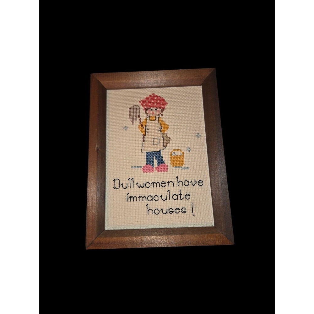 Dull Women Have Immaculate Houses Complete Crossstitch Framed